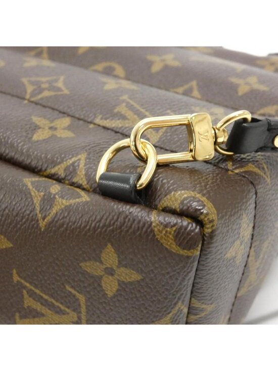 Louis Vuitton Monogram Palm Springs Backpack PM main image 7